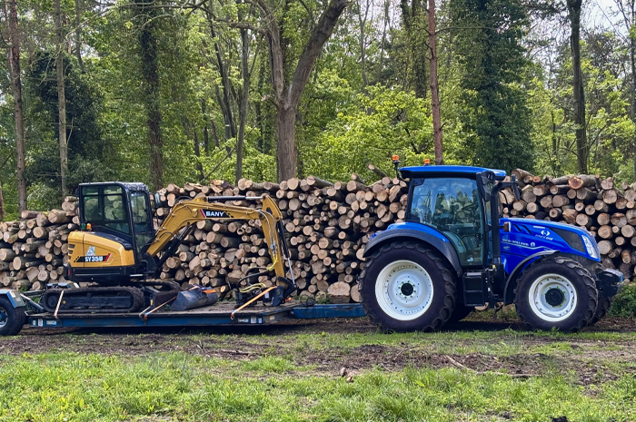 Forestry work in Norfolk